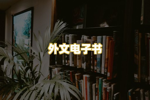 外文电子书